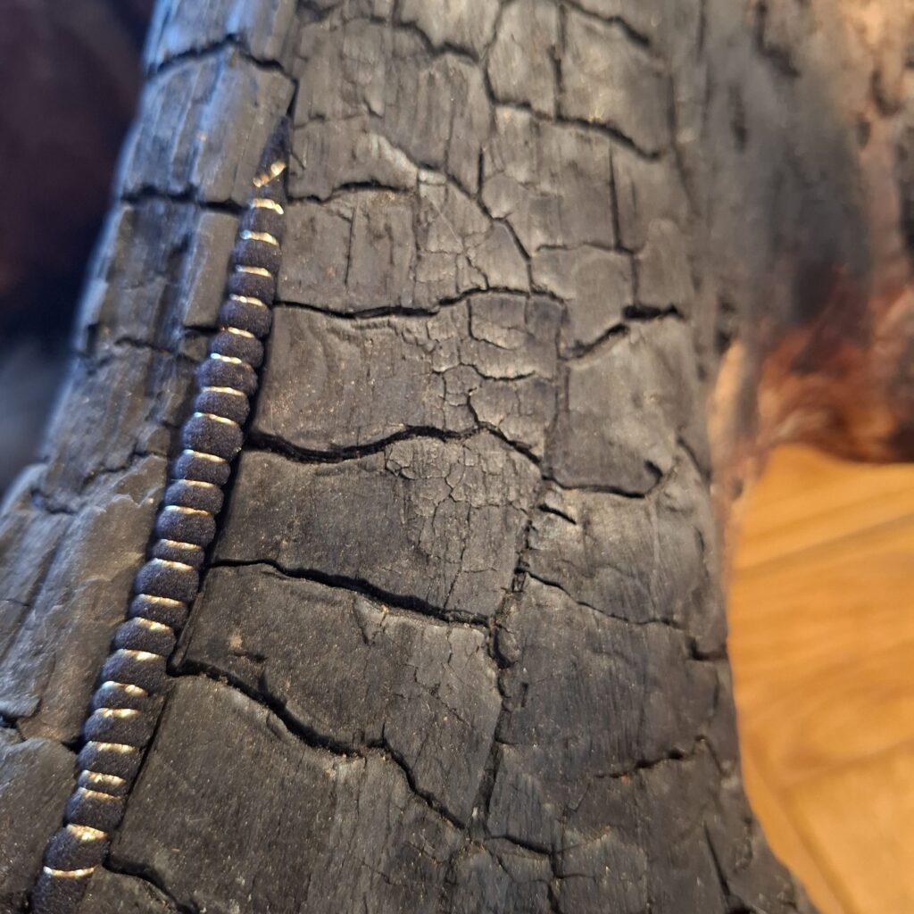 Frêne calciné, recousu de fil d'or. Détail de l'installation Ancrage, château de la Veyrie, Bernin, automne 2025 par l'artiste Albane Paillard-Brunet