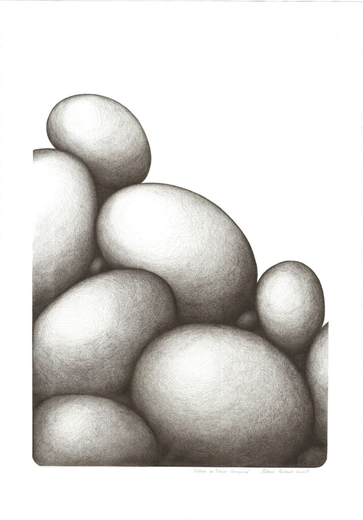 Dessin 113 cmx 73 cm-Cellules de temps comprimé Albane PAILLARD-BRUNET