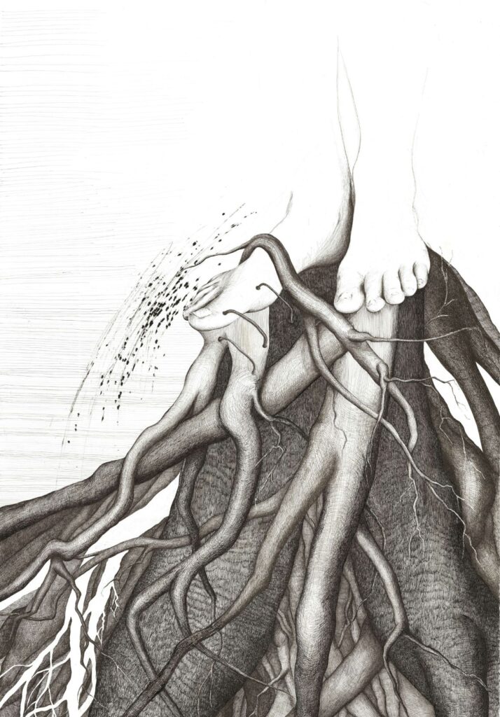 Dessin de racines-Ancrage-par-Albane-Paillard-Brunet-exposition Bernin Veyrie