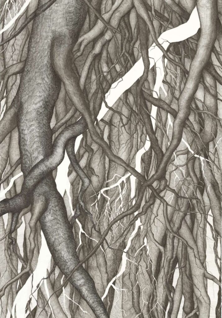 Dessin de racines-Ancrage-par-Albane-Paillard-Brunet-exposition Bernin Veyrie