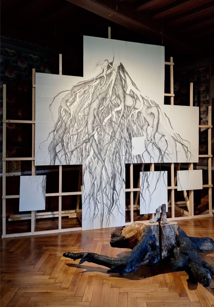 Ancrage dessin racine installation réalisée par l'artiste Albane Paillard-Brunet