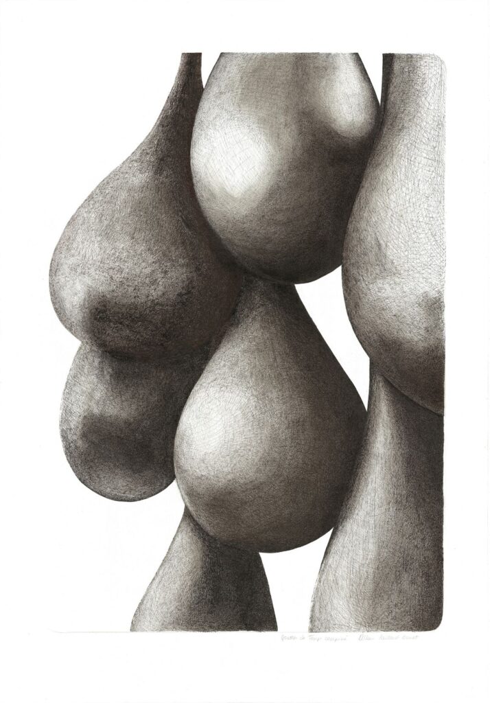 Dessin Cellules de temps suspendu, 113 x 78 cm par Albane PAILLARD-BRUNET