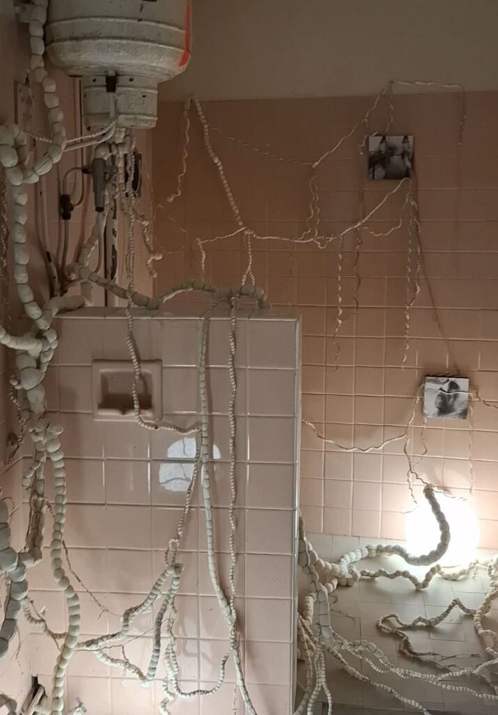 Détail de l'installation artistique La traversée des ombres par l'artiste plasticienne Albane Paillard-Brunet