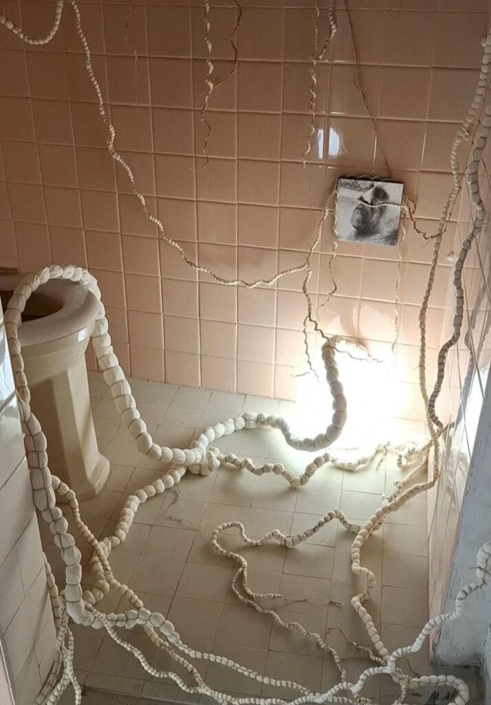 Détail de l'installation artistique La traversée des ombres par l'artiste plasticienne Albane Paillard-Brunet