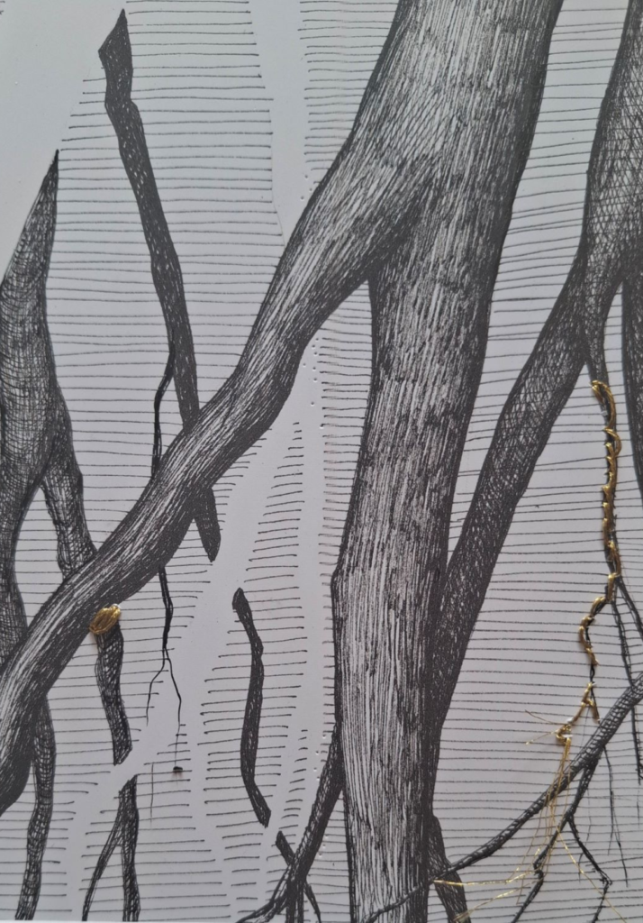 Entrelas de racines par Albane Paillard-brunet
