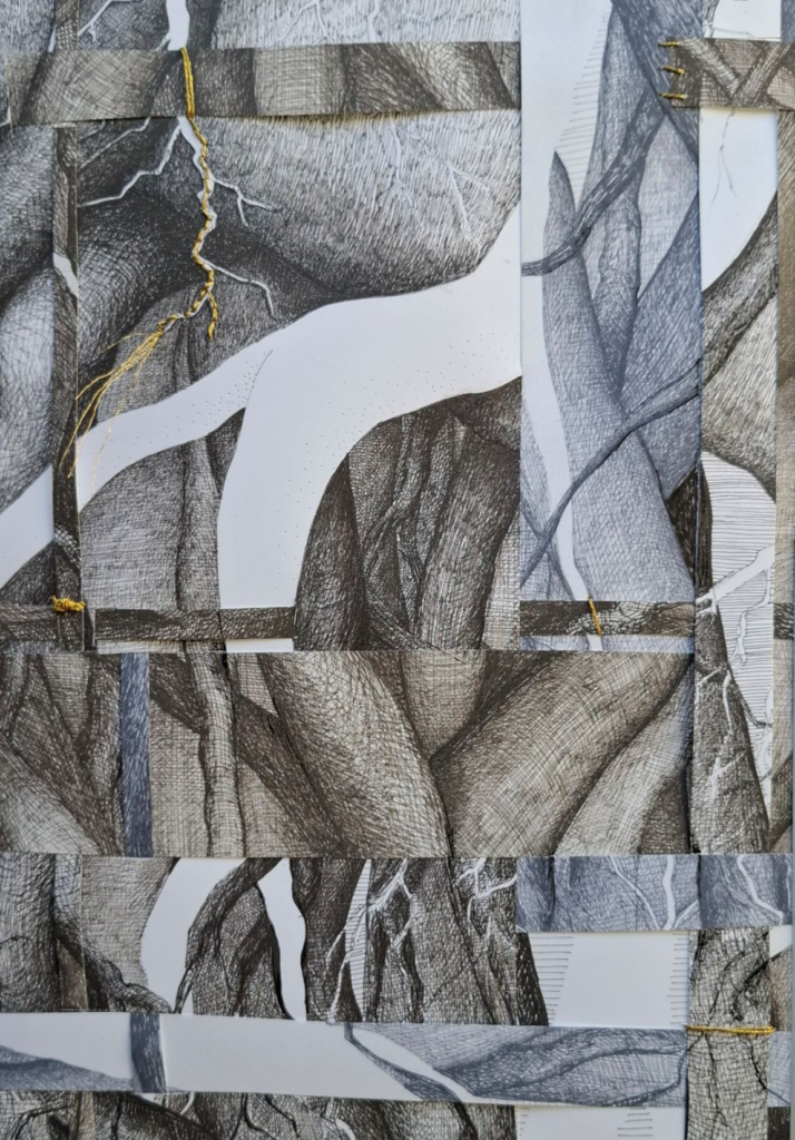ENTRELAS de racines par Albane Paillard-Brunet
