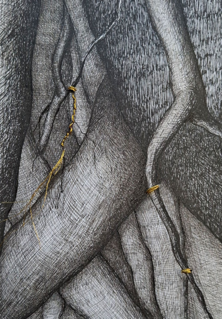 ENTRELAS de racines par Albane Paillard-Brunet