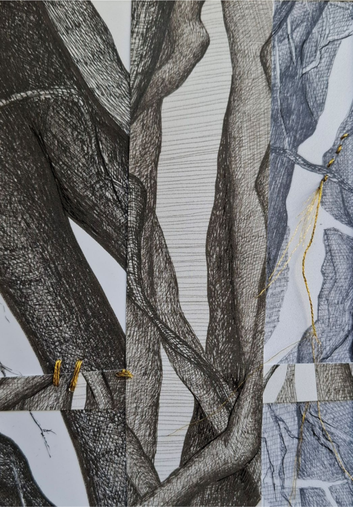Entrelas de racines par Albane Paillard-brunet
