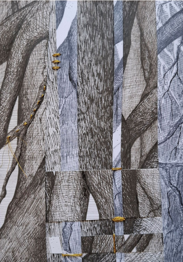 Entrelas de racines par Albane Paillard-brunet