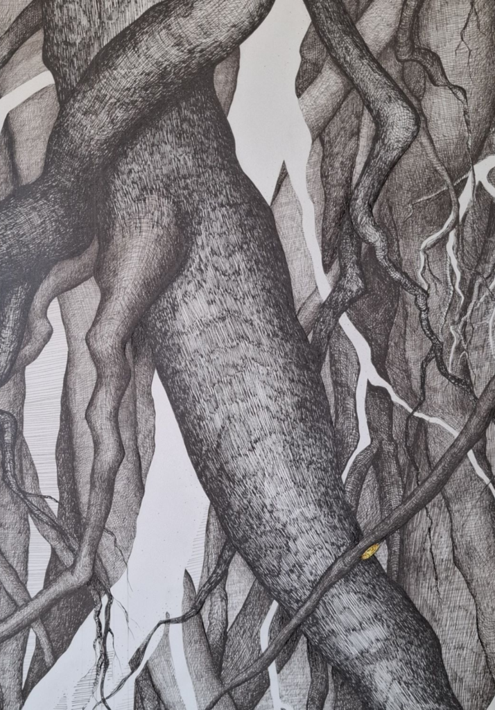 Entrelas de racines par Albane Paillard-brunet