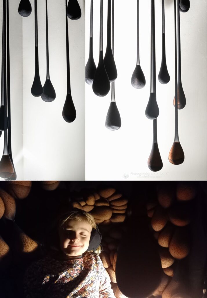 installation lentilles le murmure de l'antre: palpitations du Temps par Albane Paillard-Brunet